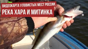 Река Хара и Митинка \ Видеокарта уловистых мест России.