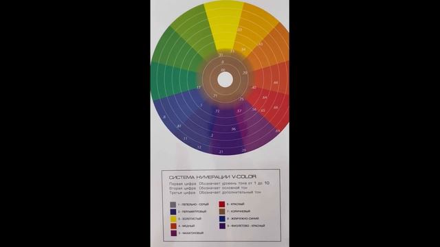 Цветовой круг колориста. Разбор от технолога V-COLOR PROFESSIONAL / The Colorist's Color Circle