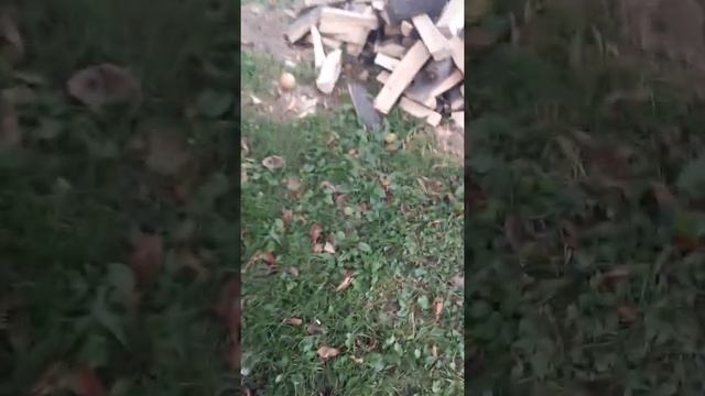 Улутчение целькулярки и установка гидравлики на базе нш 10