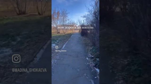 #подписка#школа#папиныдочки#тренды#топ смотреть онлайн