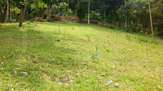 Самуи Вилла №259 L-MN-N 22Rai 600000$ смотреть онлайн