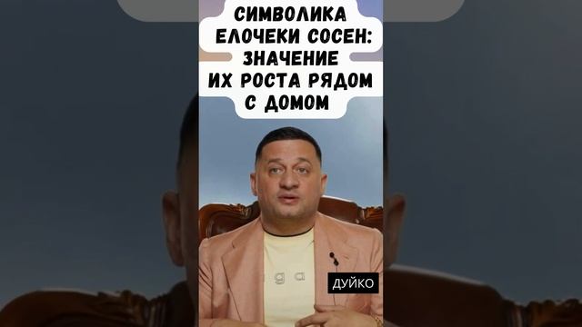 Символика елочек и сосен: Значение их роста рядом с домом и на праздниках смотреть онлайн