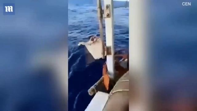 11 дней в морозильной камере посреди Атлантики смотреть онлайн