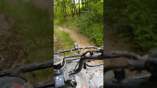 Linhai 300 & Kymko Maxxer 300! смотреть онлайн