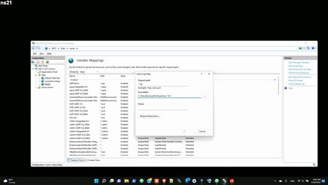 setup perl on iis 10 смотреть онлайн