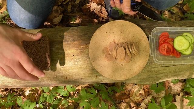 Тест Fire Maple x2. Канапки в лісі. Ящірка. смотреть онлайн