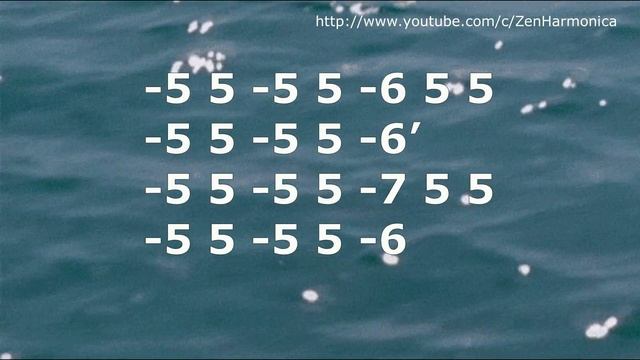 "Остров Невезения" на губной гармошке С + табы. Не для начинающих, есть передув (оверблоу) смотреть онлайн