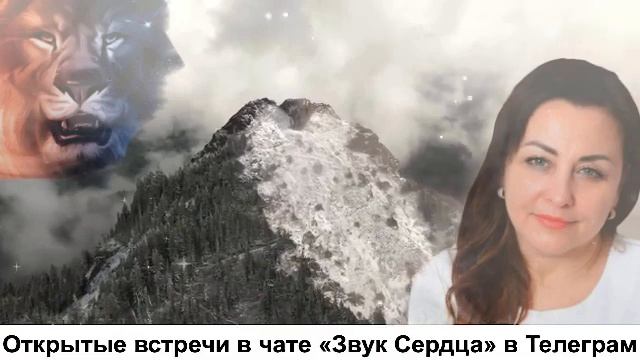 Звёздные Врата Льва 08.08 смотреть онлайн