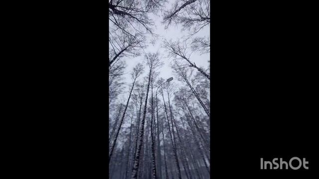 Стих: ,, Декабрьский вечер''#хочуврек смотреть онлайн