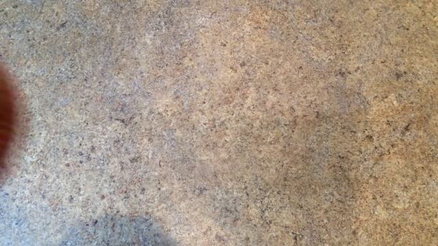 Консервы Свиная Тушенка за 28 р Дешевая Еда Соя смотреть онлайн