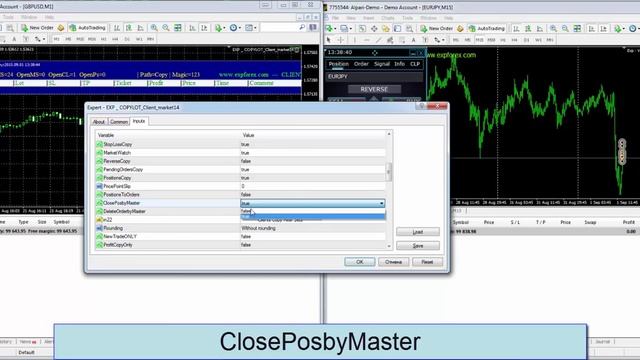 Копировщик Форекс Copylot. Полное описание функций копира . Copylot All Function Review смотреть онлайн