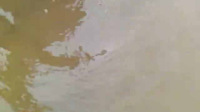 Flooding, fill & pouring in my new Vezdehod SV-15 CVN CAMO hip-waders VID 20141013 113603 смотреть онлайн