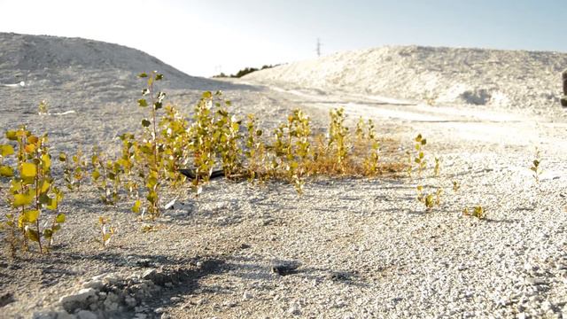 PEUGEOT 206 1,6HDI (BT-POWER)