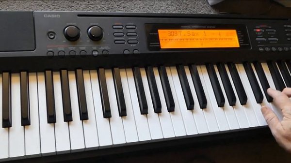 Casio CDP-200R Digital Piano. Nicely weighted keys + it can sample!