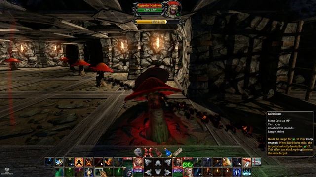 The Fall Of The Dungeon Guardians - Part 21 - Elven Assassin смотреть онлайн