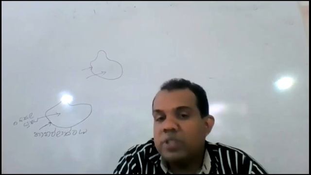 විද්යාව 10 ශ්රේණිය පන්තිය (2022/08/06) смотреть онлайн