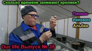 Сколько временина кроликов?Пропойка паннона.Ивермек для кроликов.Альбент для крольчат.Ourlife Вып 35