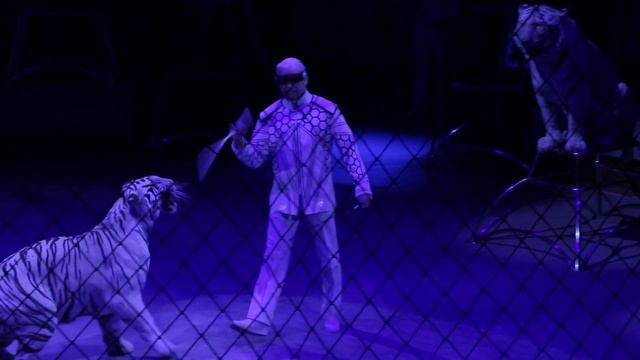 Великие дрессировщики. Сезон 2. Династия Нестеровых смотреть онлайн