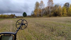 Tianxun TX-850 и десяток медных монет. Про катушку 33 см на металлоискателе ТХ850