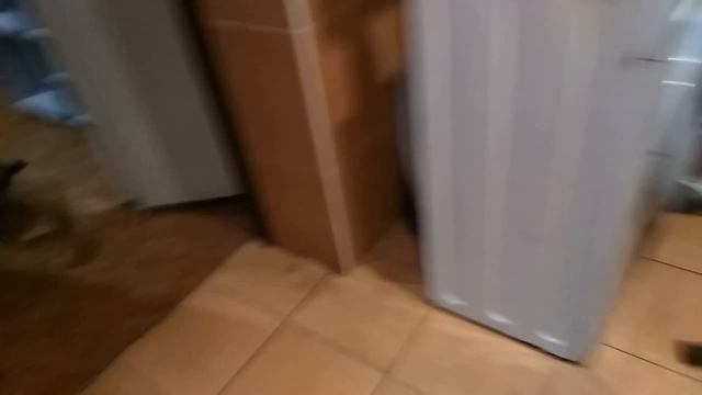 Щенок немецкой овчарки Арчи, швабра, тапок и кость:))) (2,5 месяца) смотреть онлайн