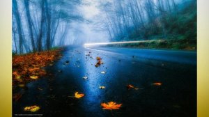 ЛАСКОВЫЙ МАЙ я так жду