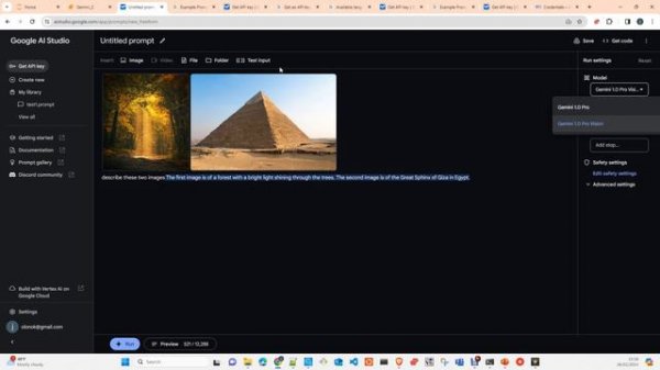 Google AI Studio and Gemini API python