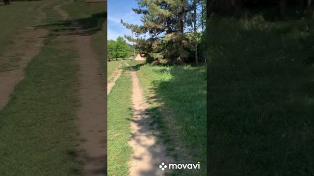 Прогулка в ботанична градина.Ботанический сад в св Константин и Елена смотреть онлайн