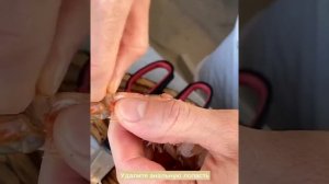 Как правильно чистить лангустины для гриля