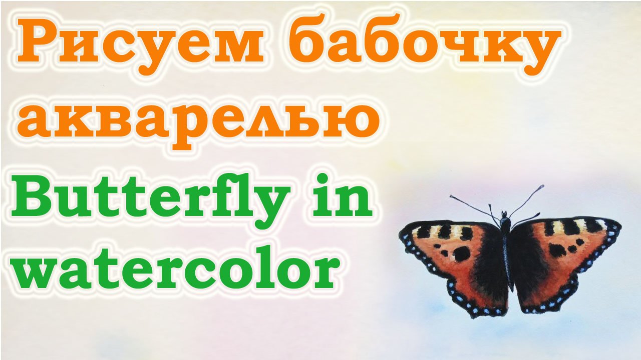 Как нарисовать бабочку акварелью. Урок рисования акварелью для начинающих. Для детей. Мастер-класс. смотреть онлайн