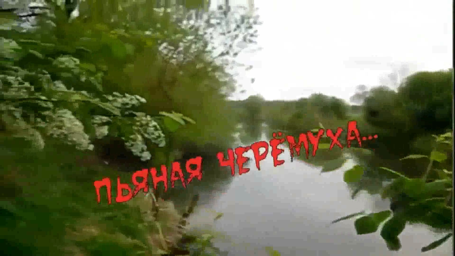 Вячеслав Абросимов - Пьяная черёмуха. смотреть онлайн