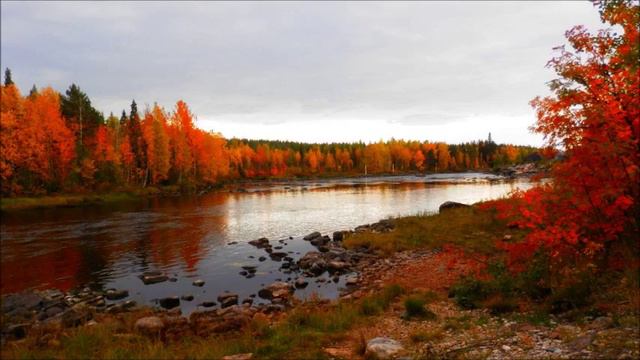 Syksyinen kaipaus. Veli Hänninen 2.7.2014 смотреть онлайн