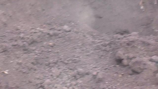 Плодородная смесь грунта с торфом + ПЕРЕГНОЙ И КОМПОСТ смотреть онлайн