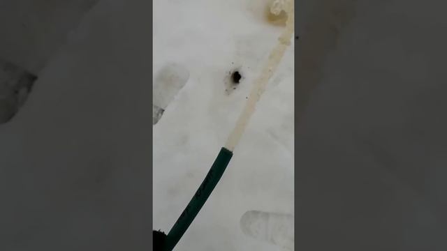 Чистка колодца дренажным насосом КАЛИБР с глубины 4.5 метра смотреть онлайн