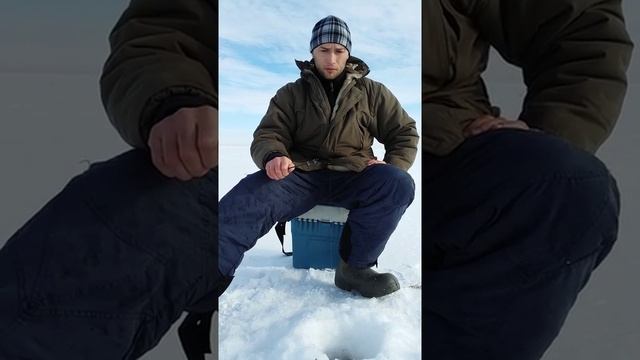 Вова ловит окуня смотреть онлайн