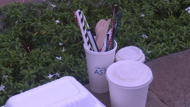 Биоразлагаемые пакеты из маниоки смотреть онлайн