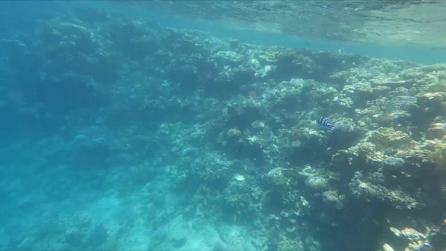 Shams Alam Beach Resort - Marsa Alam