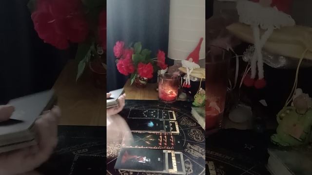 🐈😳 ПРИЧИНЫ ЕГО НЕАДЕКВАТНОГО ПОВЕДЕНИЯ..👀🐍 смотреть онлайн