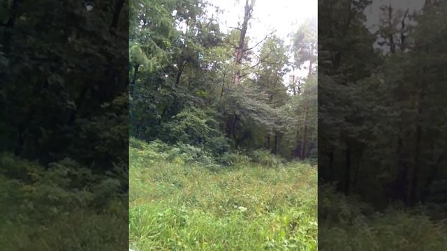 Что есть наука, символы познанья смотреть онлайн