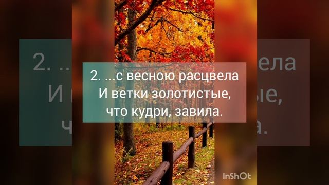 Викторина "Строчки Есенских стихов" 12+ смотреть онлайн