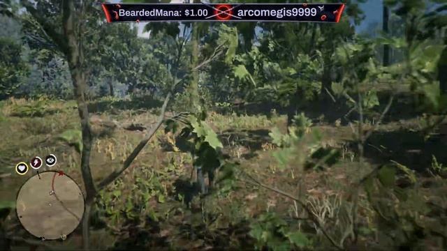 RDR2 Guarma Ending Part 9 New Chapter Beaver Hollow Part 1 смотреть онлайн