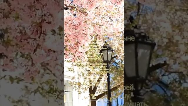 Святые Лавры смотреть онлайн