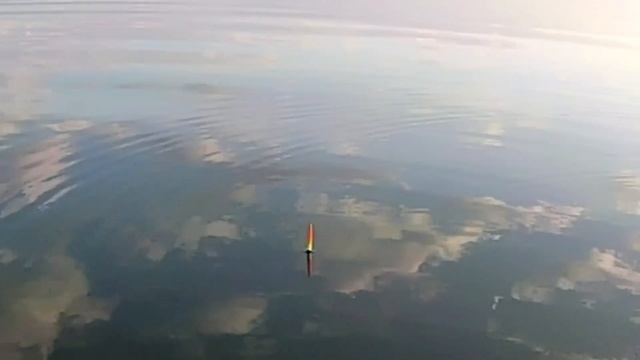 ЛЕЩ на поплавок/Снасть на ЛЕЩА смотреть онлайн