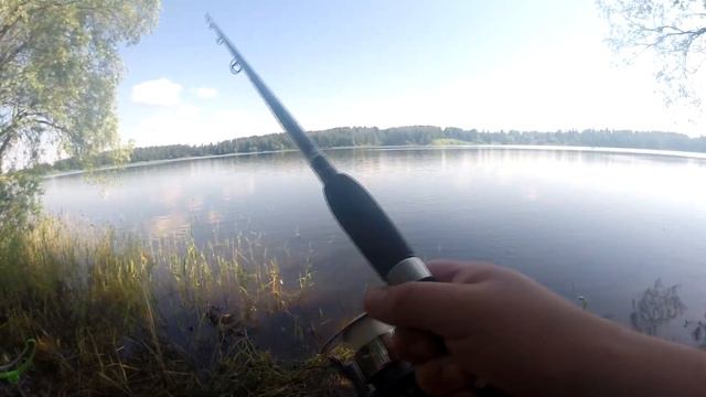 Рыбалка На ФИДЕР. Отдых На ПРИРОДЕ. Рузское Водохранилище. ЕДА На Костре. Свинина По-Мексикански. смотреть онлайн