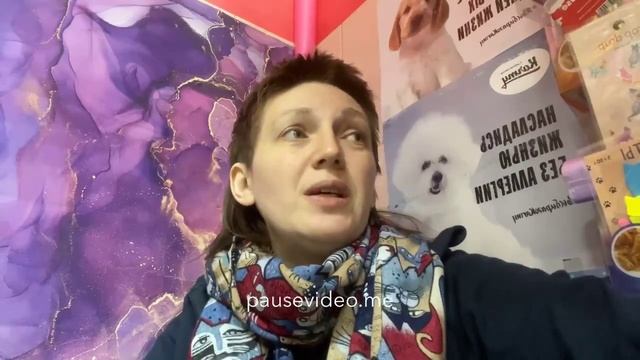 Обзор Doctrine собаки. смотреть онлайн