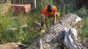 первая работа или крещение пилы STIHL MS 362 C M