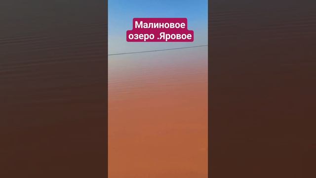 Малиновое озеро смотреть онлайн