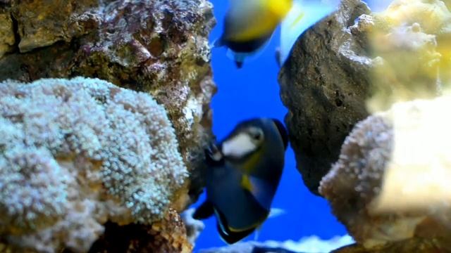 подводный мир