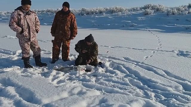 Первая рыбалка (2019).