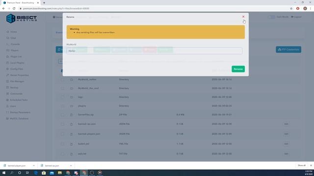 Minecraft File Manager Overview