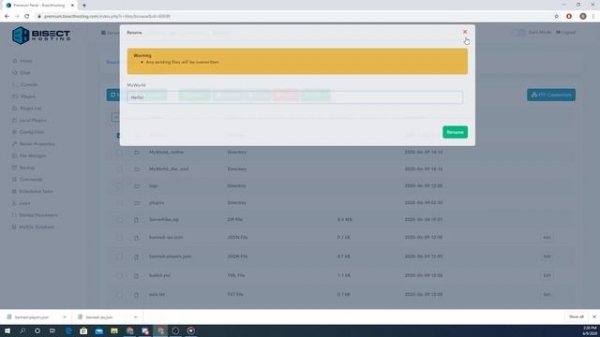 Minecraft file manager overview